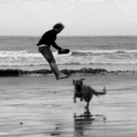 arpsjm (@arpsjm) 's Twitter Profile