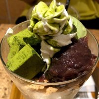 とり (@gobirdbird) 's Twitter Profile