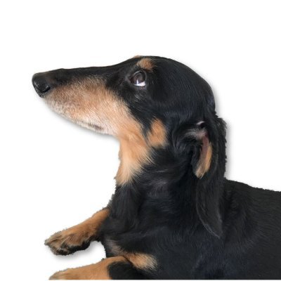 sahouxtamaru's profile picture. 豚丸木オサム／溜 終一致／TAMARU
acoustic & electric bassguitar / sound construct
https://t.co/201AZdz5ho