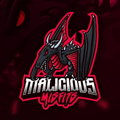 Malicious Misfits Gaming Team