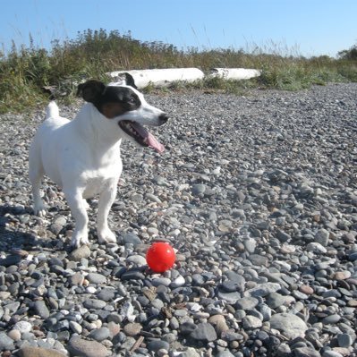 luckyd1919's profile picture. tired of the bullshit!