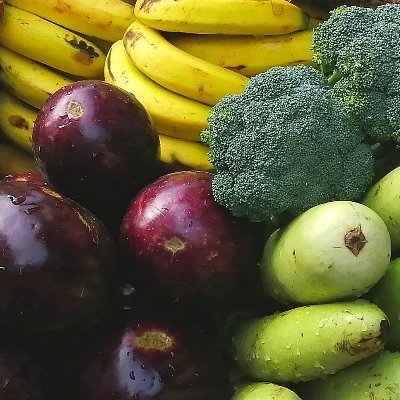 bodin_tor's profile picture. Eating Eating and Eating