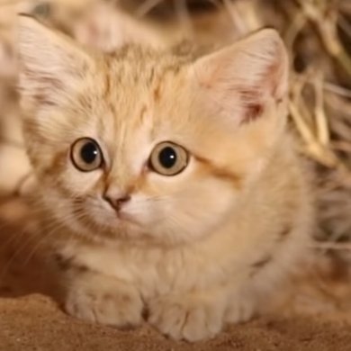 xments's profile picture. 