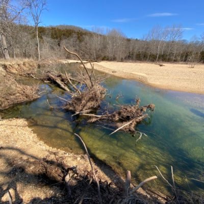 blefebvre7503's profile picture. 