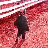 grrrd (@wiirown_grrrd) 's Twitter Profile