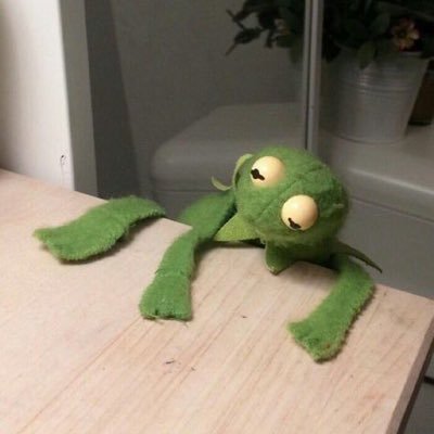 nooratxq's profile picture. 