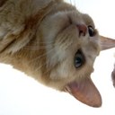 Naomi Wiggins - @nemwig - Twitter