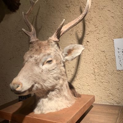 oishii_koto's profile picture. 🪓🪓🪓🪓🪓🪓🪓🪓🪓🪓