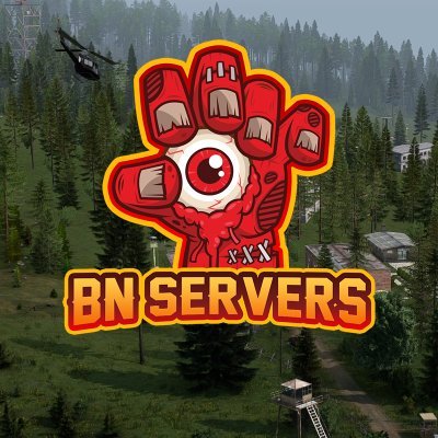 DayZ The Fallen VI - Discord Servers