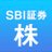 sbi_stock_team