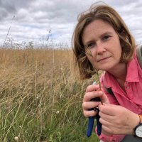 Allison Mertin (@allisonmertin) 's Twitter Profile
