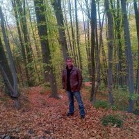 mert (@varolmest) 's Twitter Profile