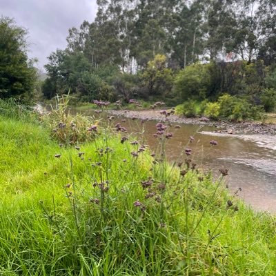 We are the RMIT Environmental Science and Technology Group. Focussed on global environmental issues in Australia and Beyond.