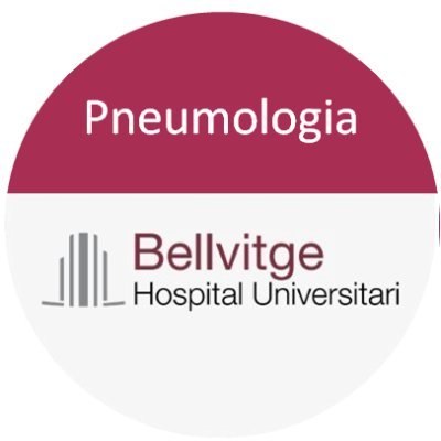 Department of Respiratory Disease at the University Hospital of Bellvitge, Barcelona