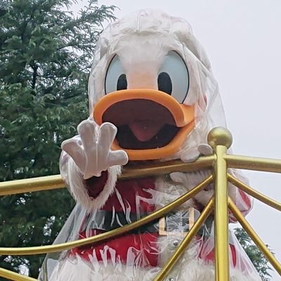 ふわふわ ディズニー D Fuwa1852 Twitter