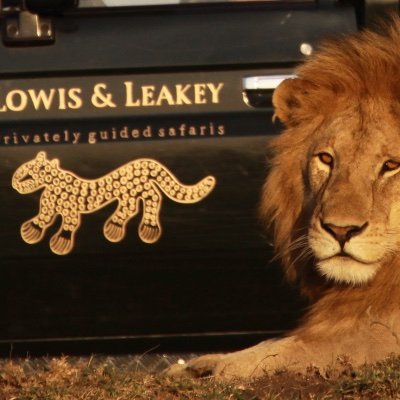 Authentic safari experiences in East & Southern Africa with Lowis & Leakey | Guided by Ninian Lowis |