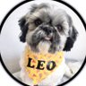 leo_licky's profile picture. Hi I’m LickyLeo, nice to meet everypawdy 🐶 Come & check out my pawsome bandanas & bowties at my LickyLeo Etsy Shop 🥰 Current Cancer Warrior