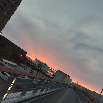 あやめめさんのプロフィール画像
