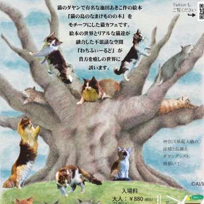 猫のダヤンの絵本『猫の島のなまけものの木』をモチーフにした猫カフェです。 絵本の世界とリアルな猫達が融合した不思議な空間「わちふぃーるど」での様々な出来事を呟いています。 営業時間10時~17時(変動あり)