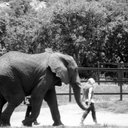 Kerry Chadwick - @kerrychado - Twitter