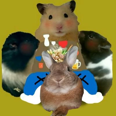 🐹玉三郎2018/01/14生2018/04/17🏠2020/07/14🌈
🐮牛太郎2018/04/15生2018/06/13🏠2020/09/12🌈
🐄モー次郎2018/11/10生2018/12/16🏠2020/12/28🌈
🐰兎之助(うのすけ)2020/07/06保護🏠