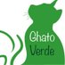 Ghato Verde - OhMyCat (@ghatoverde) Twitter profile photo Ghato Verde - OhMyCat (@ghatoverde) Twitter profile photo
