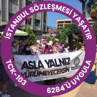 Samsun Kadın Meclisi(@samsunkadinh) 's Twitter Profile Photo