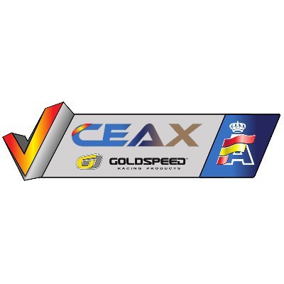 Cuenta oficial del Campeonato de España de Autocross - Goldspeed Virtual.