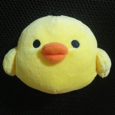 Dzuc4JDumGaHEZO's profile picture. 