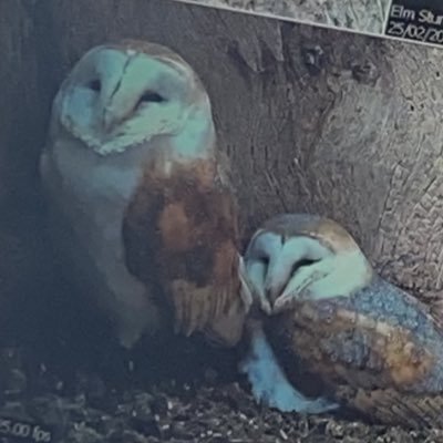 Natalie50393203's profile picture. 💓