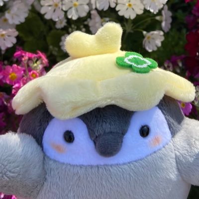 @pippin335