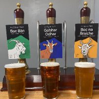 Ardgour Ales (@ardgourales) Twitter profile photo