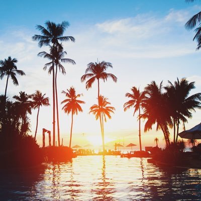 awesome_day7's profile picture. (02) ynu business