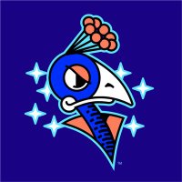 Carolina Disco Turkeys (@discoturkeys) 's Twitter Profile Photo Carolina Disco Turkeys (@discoturkeys) 's Twitter Profile Photo