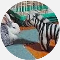 お尻さんのプロフィール画像