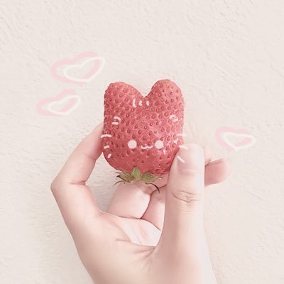 코하루さんのプロフィール画像