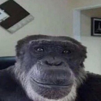 fossilstone2791's profile picture. monke cool
monke smart
monke strong 
#monke4life