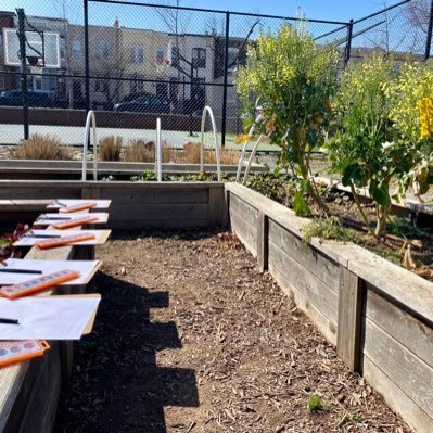 Unique academic approach to growing healthy students & families at Ludlow Taylor ES. GROW COOK EAT LEARN with @foodprintsdc @LTPrin_Daniel @LudlowPto