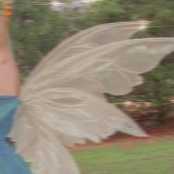 FAIRYDUSTV's profile picture. infj ⤹❤︎ˀˀ 𝑎𝑛 𝑎𝑐𝑐𝑜𝑢𝑛𝑡 𝑤ℎ𝑒𝑟𝑒 𝑖 𝑐𝑎𝑛 𝑏𝑒 𝑤𝑒ℎ𝑒𝑡𝑒𝑣𝑒𝑟 𝑖 𝑤𝑎𝑛𝑡 .·✧ 𓅂 & ⤹  ♍sun&moon ♒ rising