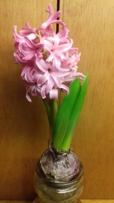 MaryMcGregor6's profile picture. Great day for the Heart and Soul activities