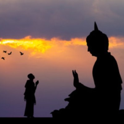 buddhismbelieve's profile picture. first humanity, wild life follower, a school teacher and true buddhist🍀🍀🌴🌴🌾🌾🌹🌹🌿🌿🌼🌼🕊🕊