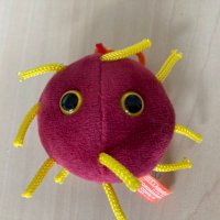 Dirk Eggink (@dirkeggink) 's Twitter Profile