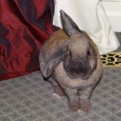 PhilipSewell9's profile picture. 