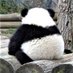 Ⓥeg_panda (@veg_panda) Twitter profile photo Ⓥeg_panda (@veg_panda) Twitter profile photo