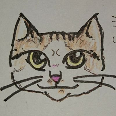 tomokaさんのプロフィール画像