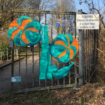 Observaties op de SuikerZijde. Foto's om de schoonheid vast te leggen en de ontwikkelingen. Geen gemeente account volg daarvoor @DeSuikerzijde