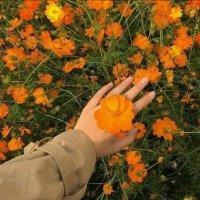 عهد (@sahar25776958) 's Twitter Profile Photo عهد (@sahar25776958) 's Twitter Profile Photo