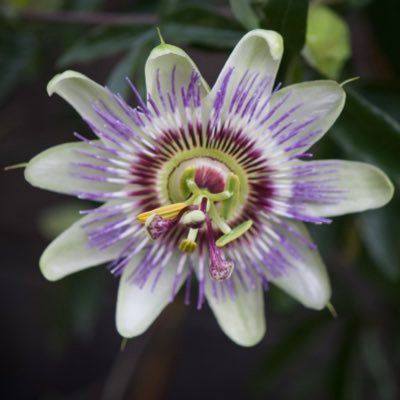 roxybro54357245's profile picture. Collaboration Communication Community Compassion because divisiveness will kill us all 🙏❤️