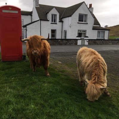 Small, happy B&B in west Skye. Dog & family friendly. Glorious views, fabulous breakfasts. info@taighailean.scot