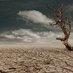 WUN heatwaves and drought group (@wunheatwaves) Twitter profile photo WUN heatwaves and drought group (@wunheatwaves) Twitter profile photo